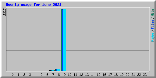 Hourly usage for June 2021