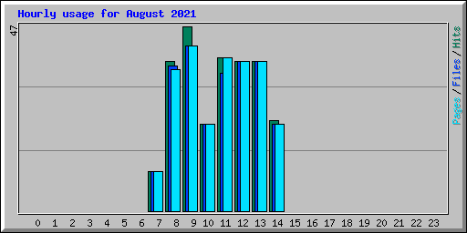 Hourly usage for August 2021